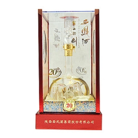 ����20�껪ɽ�۽�45��500����