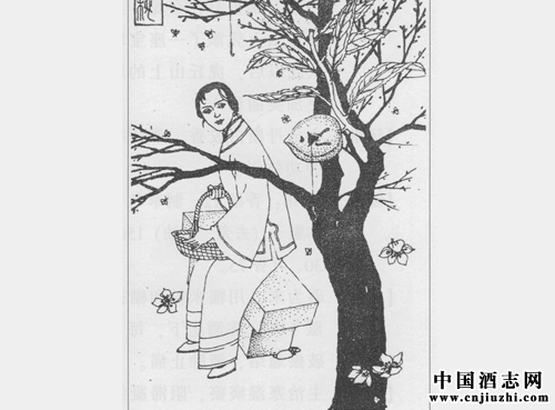 ������������������