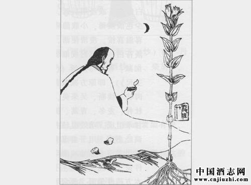 清热利湿剂:清肝渗湿汤