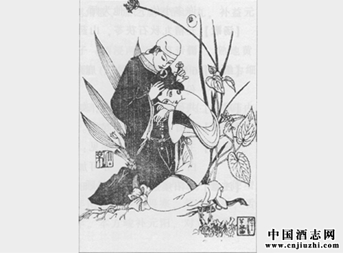 补肾壮阳剂:赞育丹