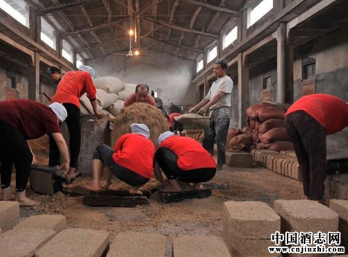 ����Ƶ�������������Щ��