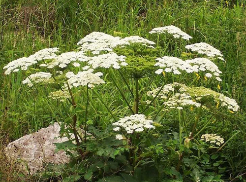 ���׷���