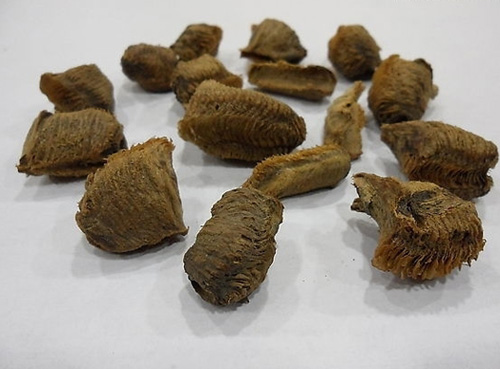 ����̾���