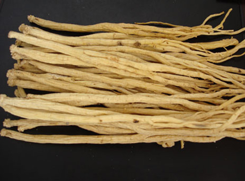 ����ʮȫ��