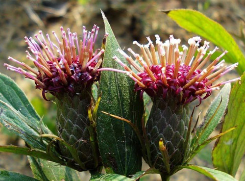 ��٢���߾�