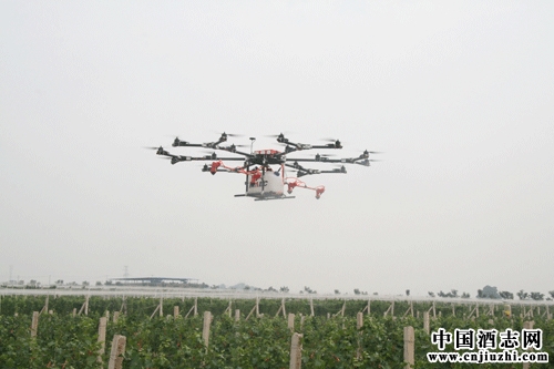 ��������ֲ�߻���ʹ�����˻�