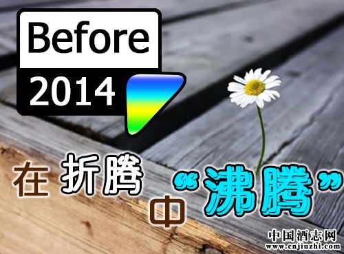 再回首,2014年在折腾中“沸腾”