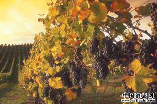 �ϰ����²��� �������ո������