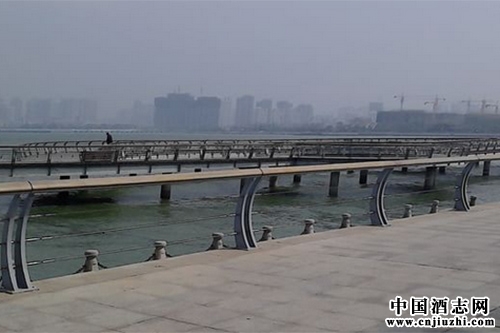 �ൺ�Ƶ���ʳҩ��ֶ��������ڿ�չ�����Ѿ�ר����