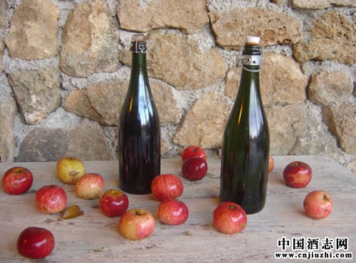 ʲô��֮Ϊŵ����ƻ����