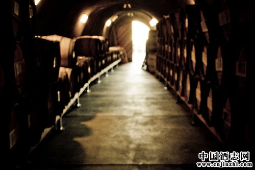 �ٹ��ع��̲����Ȩ�����ǡ��ɺ����Ѿƹ�370��ƿ