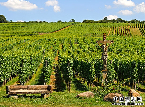 ׷��Ƶ�������½