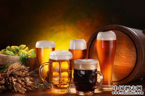 �й�ơ�Ʋ���10���׽�