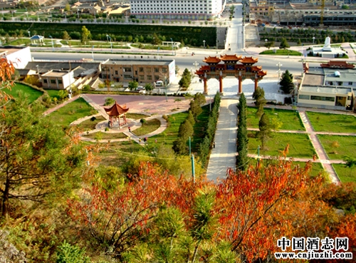 宁夏隆德的酒俗