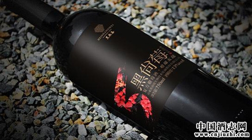 DSW���й���ݮ�ơ�ר��Ʒ���ἴ���ٰ�