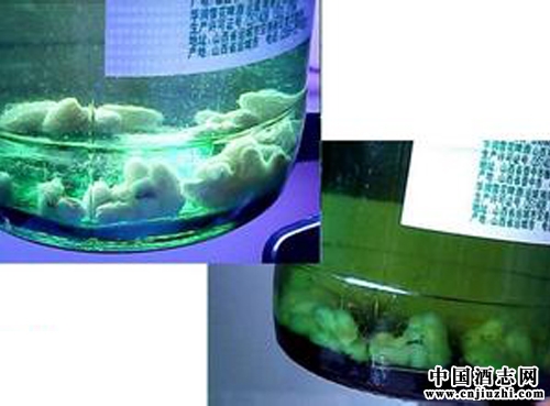 ��ټ���֮ơ��