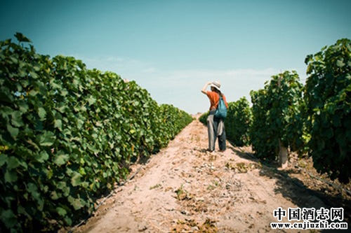 �����������Ѿƹ�˾�ſ�