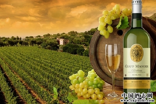 �������걨��2015��������Ϊ�������