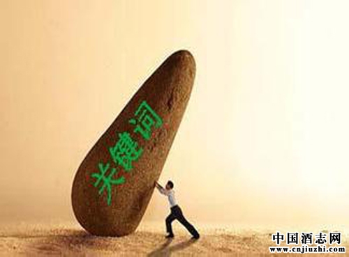 2015���й��׾���ҵ�ؼ���