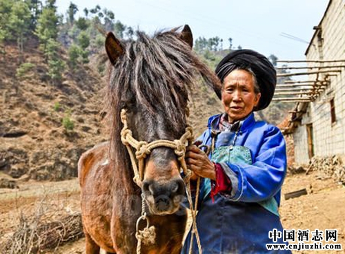 ˵˵��Щ��ԭ�����ľ��Ļ�