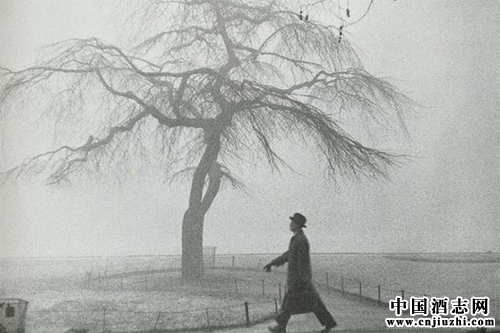 ������������ü�ޣ�������̬����Ƴ�Ϊ��չ����