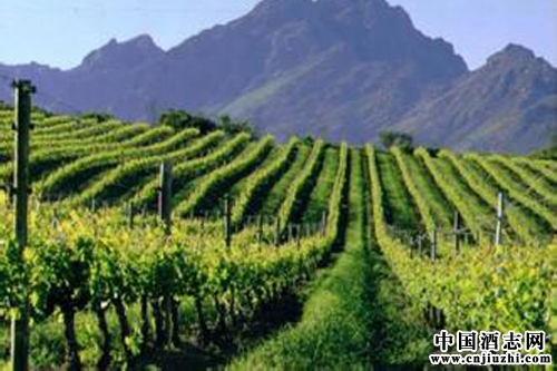 ȫ���ůʹ���������ֲ�������󣬻�������Ѿ��²���