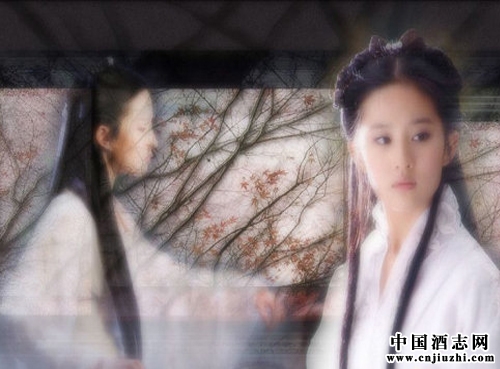 �й�����С˵�еľ��Ļ�