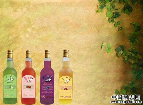 �������ƵĴ��淽���������б�����