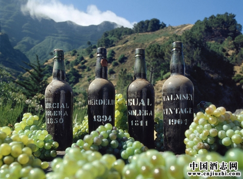 �������ƵĲ���