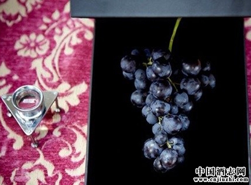 ���Ѿ�û������ζ��Ϊʲô