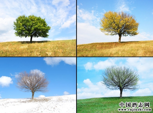 根据季节来喝葡萄酒