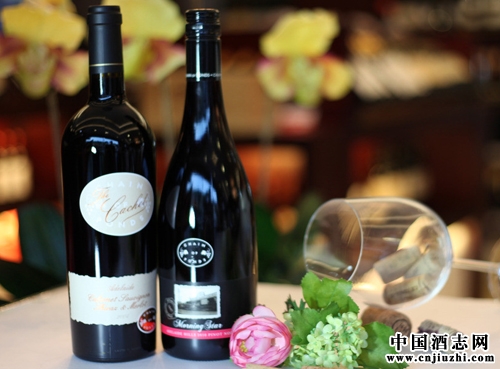 ������ٺ�Ƥŵ���Ѿ�