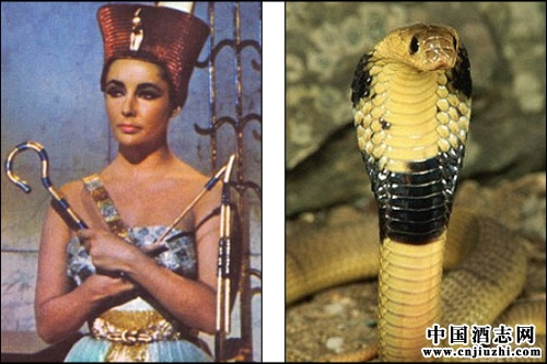 �����޺����ڼ�β��Ͷ��