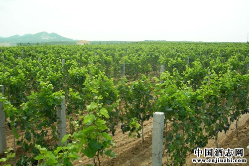 �������������Ѿƾ֣�δ�����Ӵ��������ֲ����