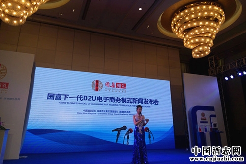 ��ϲ��ʢ������ ��ʷʫ��Ƭ���ƻ�δ��