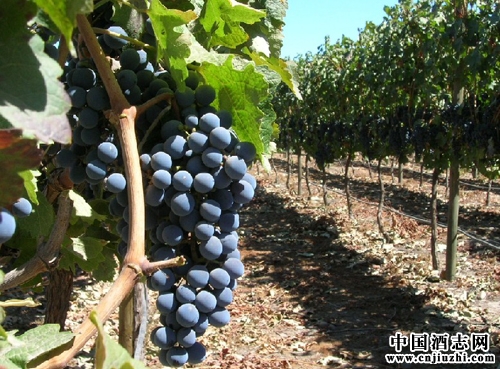 ����Ʒ�ֿ�����