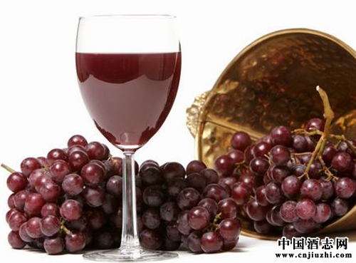 �������ѾƵ�����