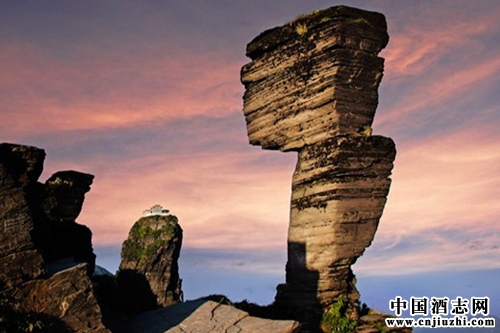 2015��ȫ�а׾Ʋ�ҵ�������ص���ҵ��չ