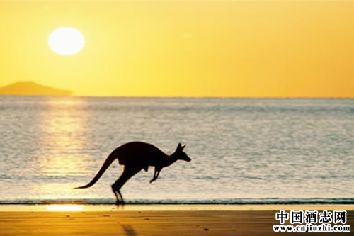 �Ĵ��������Ѿ��г������ֻ�������������