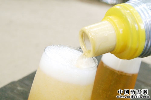 �ձ��̼��Ƴ���Яơ�������� ������ζơ��ĭ