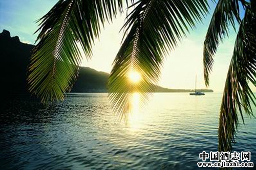 ļ����8�� ����Ҭ����ʵ�����Ʋ�ҵ