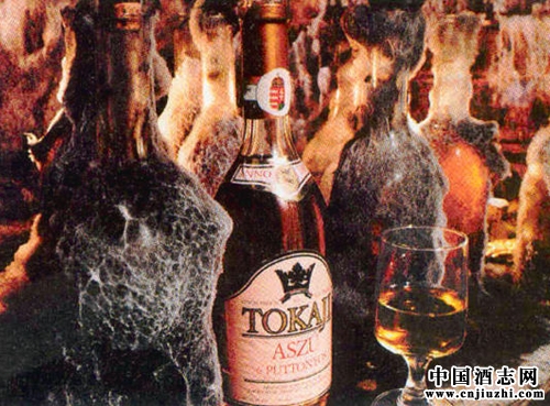 ��Ȼ�����Ѿ������ؾ�