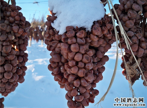 ������ʡ:�����Ѿ������Ľ���