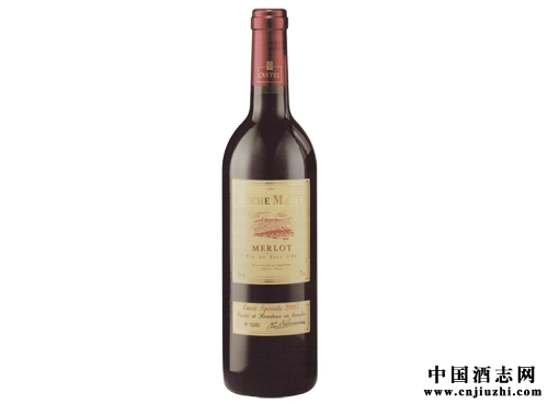 ������¶�����Ѿ� ��ϸ����