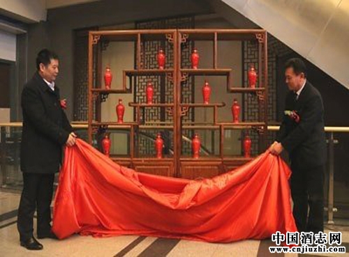 ����Ͷ�ʣ����ڰ׾�Ͷ�����ŵĽ���