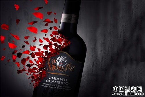 ����Ѱ��չ֮·�����ٵ��ɻ���