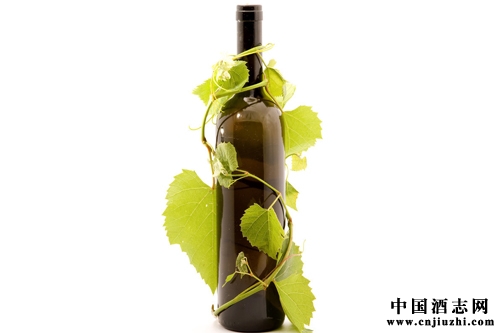 �������ѾƳ��̿���ת��֮·