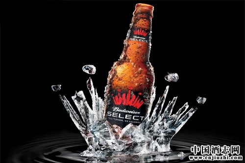 �����еͶ�ơ�Ƹ�����������Ӣ��������߶��г�