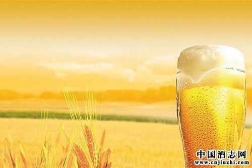 �й�ơ����ҵ��չ���Ĵ�����