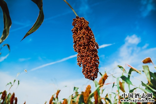 ������1573�л����ԡ������ݷ���